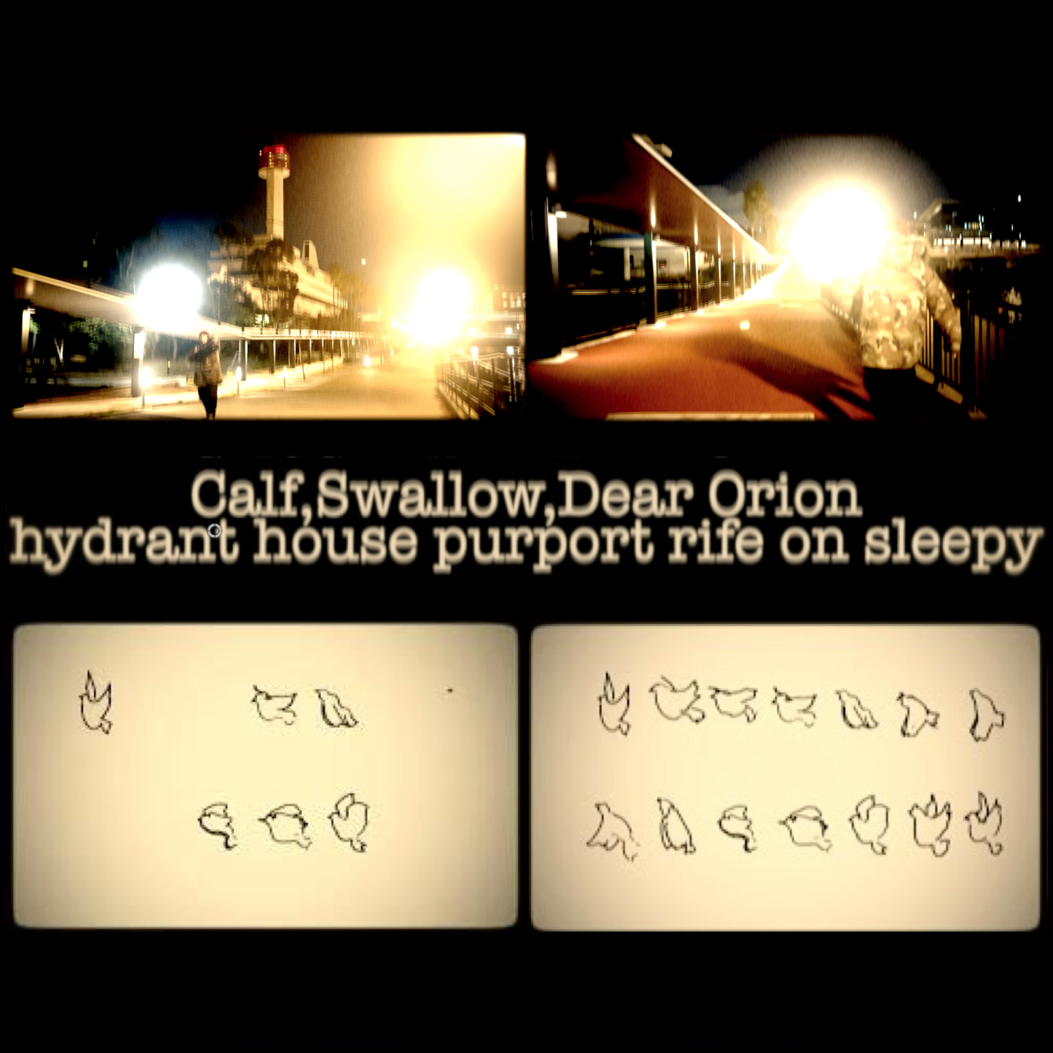 Calf,Swallow,Dear Orion